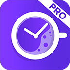 Clockwork Automated Time Tracking & Timesheets Pro